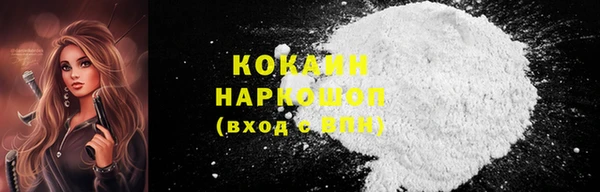 гидра Бронницы