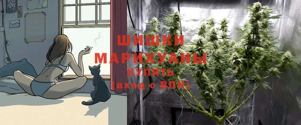 гидра Бронницы