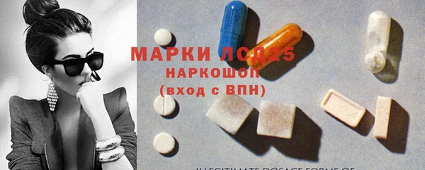 гидра Бронницы