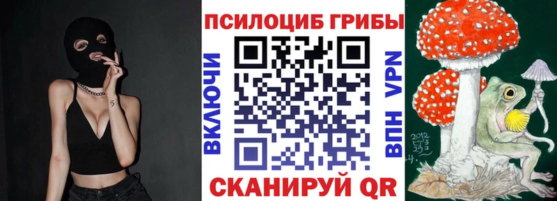 hydra   Обь  Галлюциногенные грибы Psilocybine cubensis 